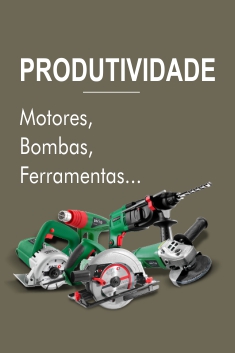 Início